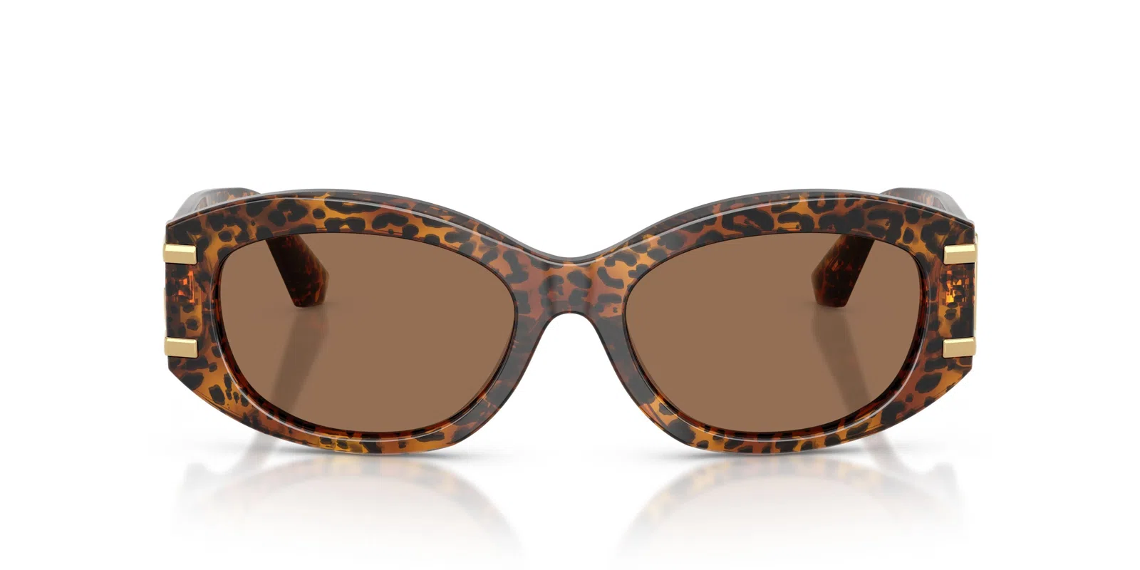 Dolce & Gabbana 4502 Sunglasses - view 29